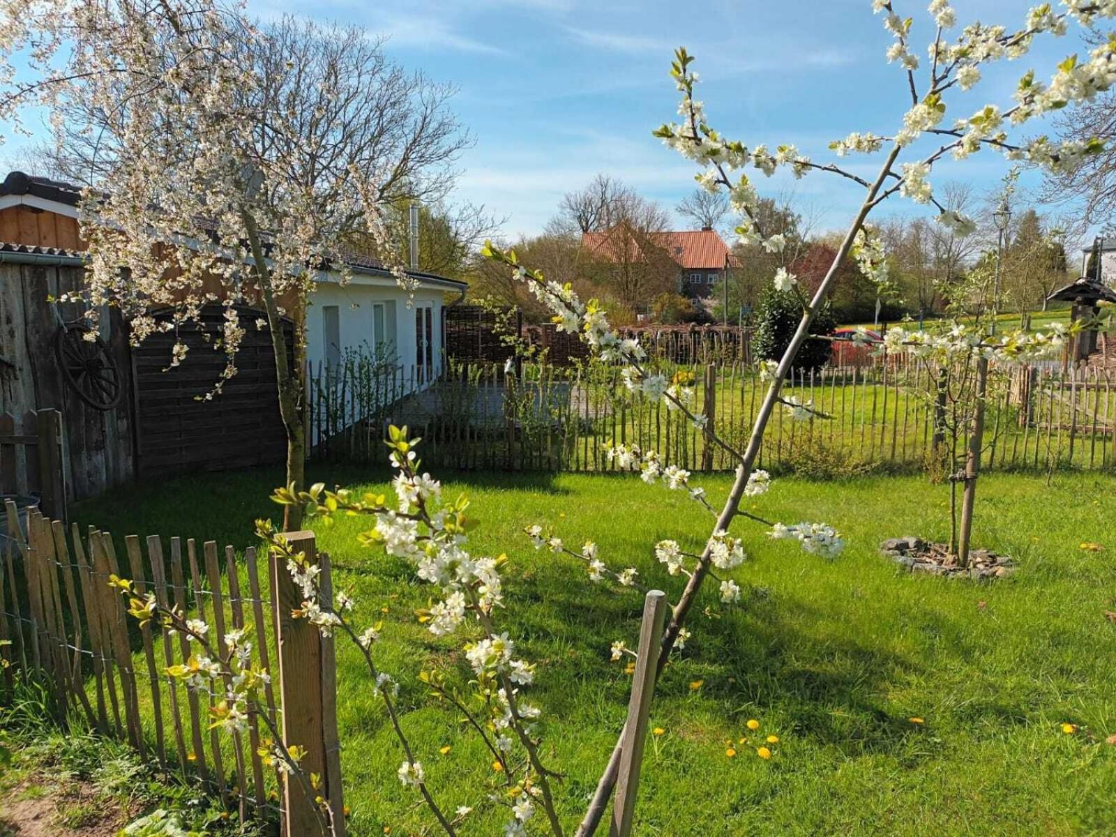 Villa Apfelhof Grundshagen Habitación foto